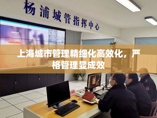上海城市管理精细化高效化，严格管理显成效